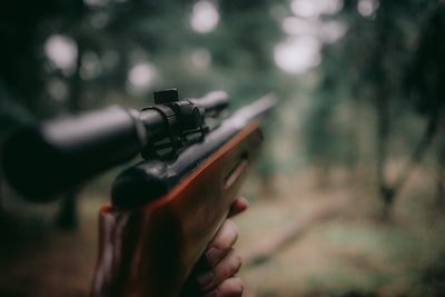 Les types de chasse les plus appréciés au monde